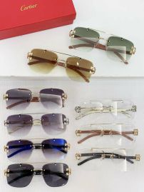 Picture of Cartier Sunglasses _SKUfw55616900fw